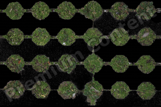 photo texture of grass decal 0003